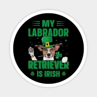 My Labrador Retriever Is Irish Magnet